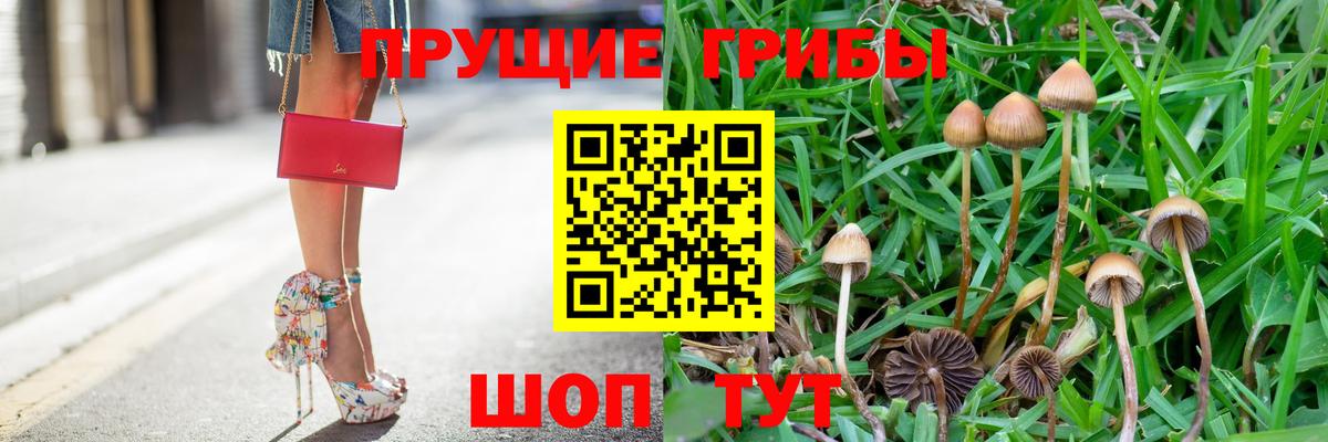 закладки  Галлюциногенные грибы мухоморы  Советский  Вход с VPN  Псилоцибиновые грибы Psilocybine cubensis 